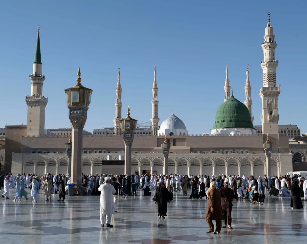 whatsapp bulk message sender in saudi arabia